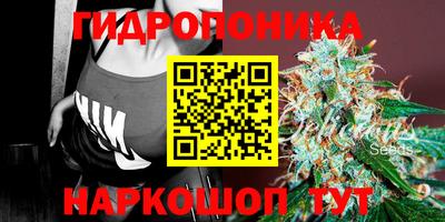 винт Обь